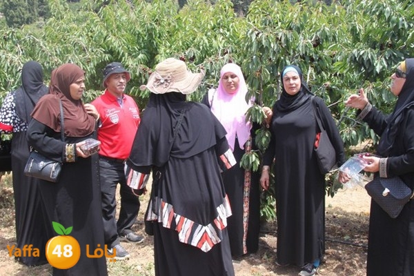 bayareq re7la shamal 0612 (78).JPG